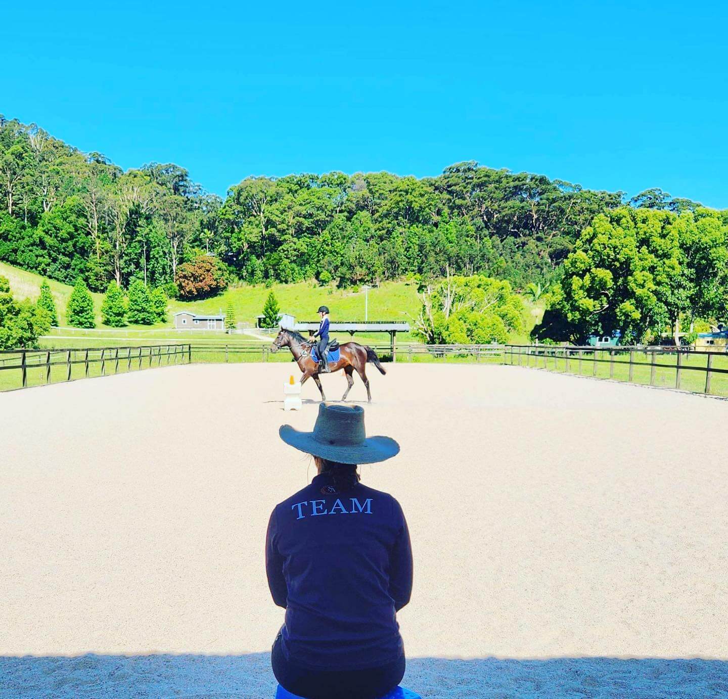 Horse agistment in Mullumbimby